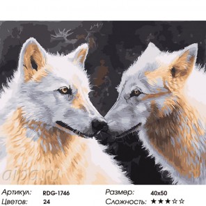 Белые волки Раскраска картина по номерам на холсте