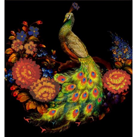 Жар-птица Канва с рисунком для вышивки бисером Конек