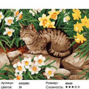 Количество цветов и сложность Кот в нарциссах Раскраска картина по номерам на холсте GX22851