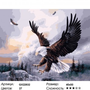 Количество цветов и сложность Орлиная охота Раскраска картина по номерам на холсте GX22832