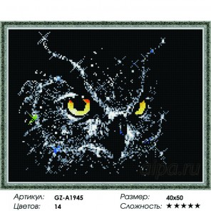  Портрет совы Алмазная мозаика вышивка на подрамнике GZ-A1945