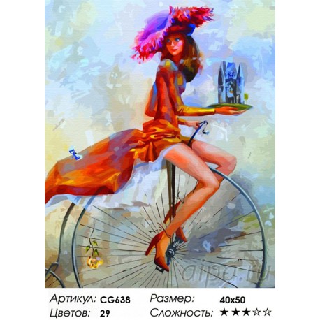 Сложность и количество красок На велосипеде Раскраска по номерам на холсте Color Kit CG638