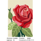 Сложность и количество красок Роза Раскраска по номерам на холсте CX3230