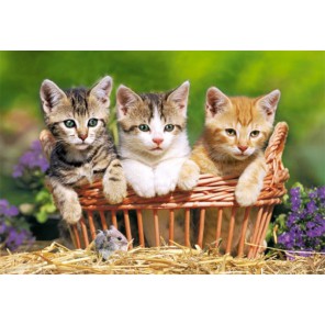 Коробка-упаковка набора Три котенка Пазлы Castorland B51168