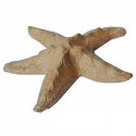Морская звезда мини Фигурка из папье-маше объемная Decopatch