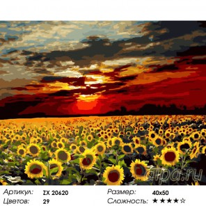 Количество цветов и сложность Поле подсолнухов на закате Раскраска картина по номерам на холсте ZX 20620