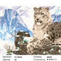 Снежный леопард на скалах Раскраска картина по номерам на холсте 