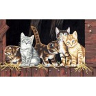 * Котята 91426 Раскраска по номерам Dimensions