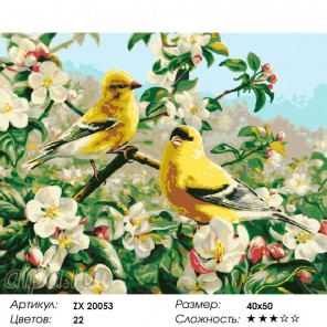  Птицы на цветущей яблоне Раскраска картина по номерам на холсте ZX 20053