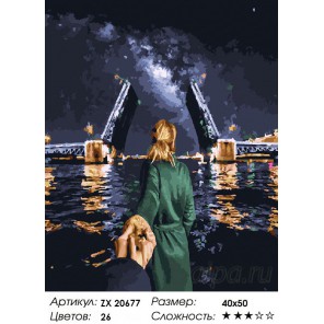 Количество цветов и сложность Санкт-Петербург. Следуй за мной Раскраска картина по номерам на холсте ZX 20677