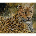  Леопард Набор для вышивания Kustom Krafts 99857