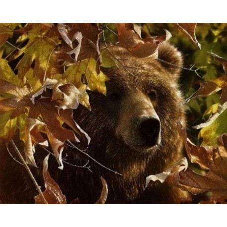  Легенда осени (медведь гризли) Набор для вышивания Kustom Krafts 35037