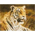Королевский бенгальский тигр Набор для вышивания Kustom Krafts