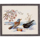  Птицы и яблоко Набор для вышивания Eva Rosenstand 12-543