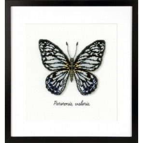  Голубая бабочка Набор для вышивания Vervaco PN-0165403