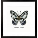 Голубая бабочка Набор для вышивания Vervaco