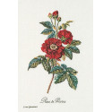 Африканская роза Набор для вышивания Thea Gouverneur
