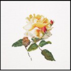  Цветение белой розы Набор для вышивания Thea Gouverneur 416