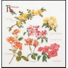  Группа цветов розы Набор для вышивания Thea Gouverneur 3066