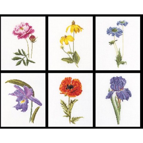  Шесть цветочных исследований Набор для вышивания Thea Gouverneur 3085