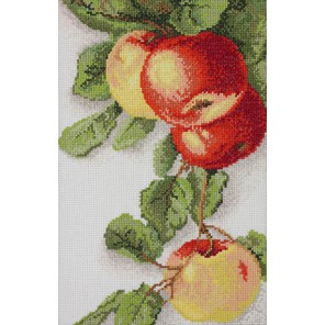  Яблоки по рисунку К. Кляйн Набор для вышивания Марья Искусница 06.002.10