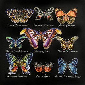  Бабочки (может использоваться для создания подушки) Набор для вышивания Марья Искусница 14.001.08