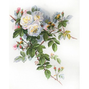  Белые розы по рисунку П. де Лонгпре Набор для вышивания Марья Искусница 06.002.45