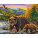 Семья медведей Раскраска по номерам Plaid