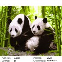 Две панды в зарослях бамбука Раскраска (картина) по номерам на холсте Menglei