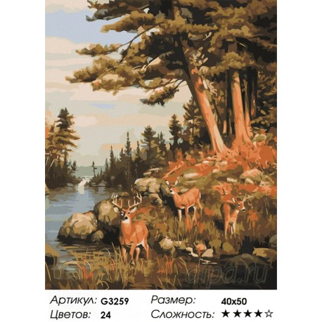 Количество цветов и сложность Олени на водопое Раскраска картина по номерам на холсте MG3259