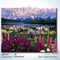 Долина цветов Раскраска по номерам на холсте Hobbart