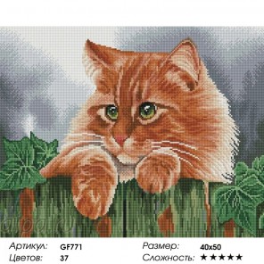  Рыжий кот Алмазная мозаика на подрамнике GF771