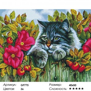  Пушистый кот Алмазная мозаика на подрамнике GF775