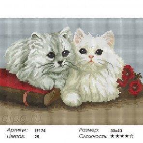  Пушистые котята Алмазная мозаика на подрамнике EF174