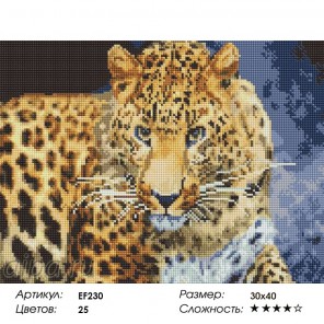 Сложность и количество цветов Леопард Алмазная мозаика на подрамнике EF230