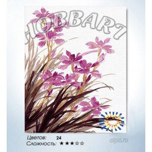 В рамке Сиреневые орхидеи Раскраска по номерам на холсте Hobbart HB4050135