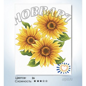 Количество цветов и сложность Солнечные цветы Раскраска по номерам на холсте Hobbart HB4050178
