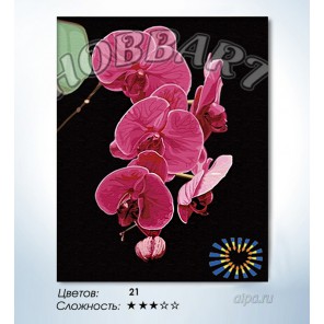 Количество цветов и сложность Утонченность орхидеи Раскраска по номерам на холсте Hobbart HB4050065