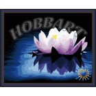 В рамке Нимфея Раскраска по номерам на холсте Hobbart HB4050073