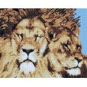 Львы Алмазная мозаика на подрамнике