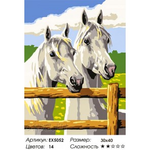  Пара лошадей Раскраска по номерам на холсте EX5052