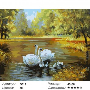  Лебеди на осеннем пруду Раскраска по номерам на холсте G312