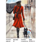 Количество цветов и сложность Девушка с собачками Раскраска картина по номерам на холсте RDG-3024