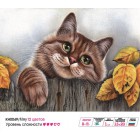  Мяу Раскраска мини по номерам KH0049