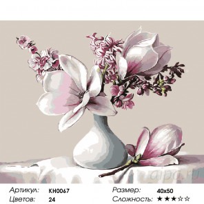 Количество цветов и сложность Букет с магнолией Раскраска картина по номерам на холсте KH0067