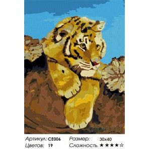  Любознательный тигренок Раскраска картина по номерам на холсте CE006 