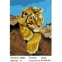 Любознательный тигренок Раскраска картина по номерам на холсте