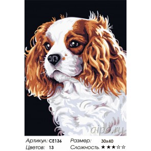  Забавный щенок Раскраска картина по номерам на холсте CE136