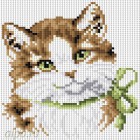  Кошка Алиса Алмазная вышивка мозаика на подрамнике Белоснежка 015-ST-S