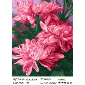  Хризантемы Раскраска картина по номерам на холсте GX23053
